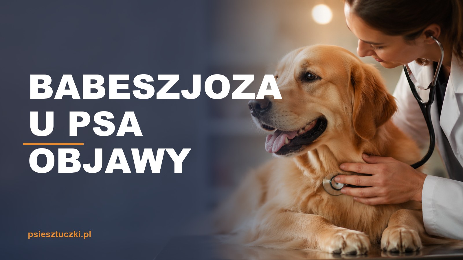 babeszjoza u psa objawy – psiesztuczki.pl