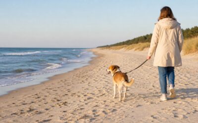 Plaża dla psów — gdzie wejdziesz z psem nad Bałtykiem