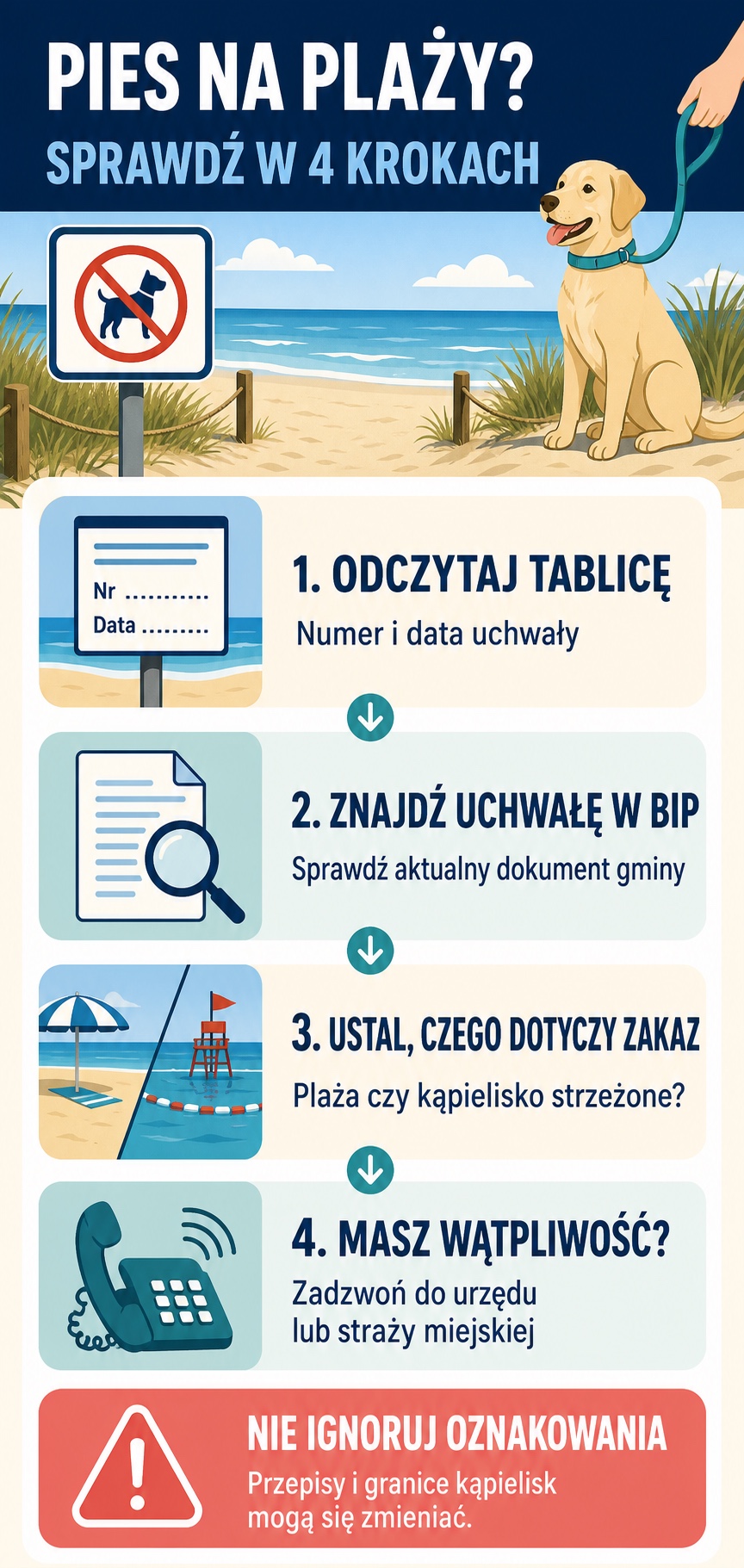 Infografika pokazuje cztery kroki sprawdzania zasad wejścia z psem na plażę: odczytanie tablicy, znalezienie uchwały w BIP, ustalenie zakresu zakazu i kontakt z urzędem